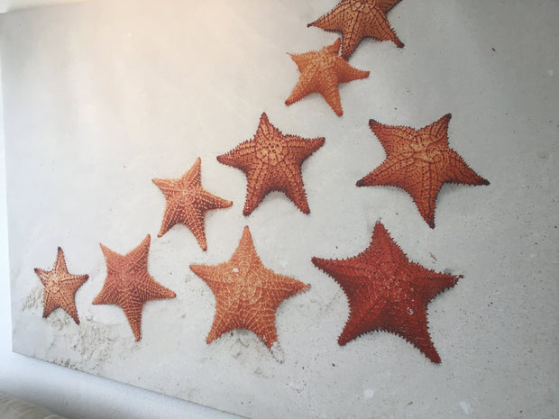 Sabine baca catalina