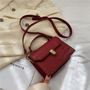 CELINE Crossbody