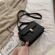 CELINE Crossbody